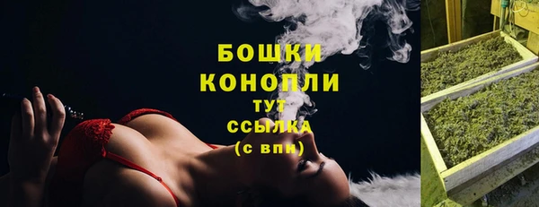 СК Липки