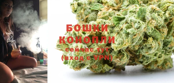 ECSTASY Лиски