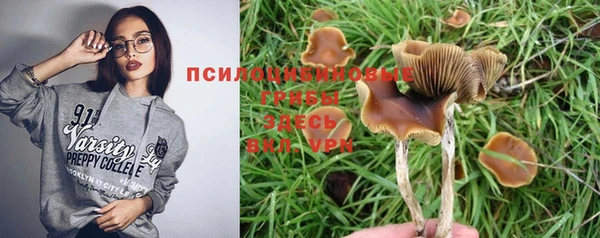 тгк Ладушкин