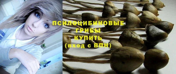 СК Липки