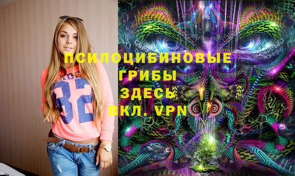 PSILOCYBIN Лагань