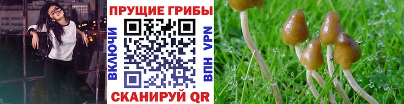 Псилоцибиновые грибы мухоморы  Заринск 