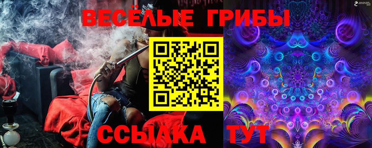 Галлюциногенные грибы прущие грибы  Вход с VPN  где продают наркотики  Заринск  Галлюциногенные грибы ЛСД 