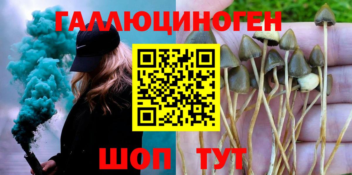 Псилоцибиновые грибы Psilocybine cubensis Заринск