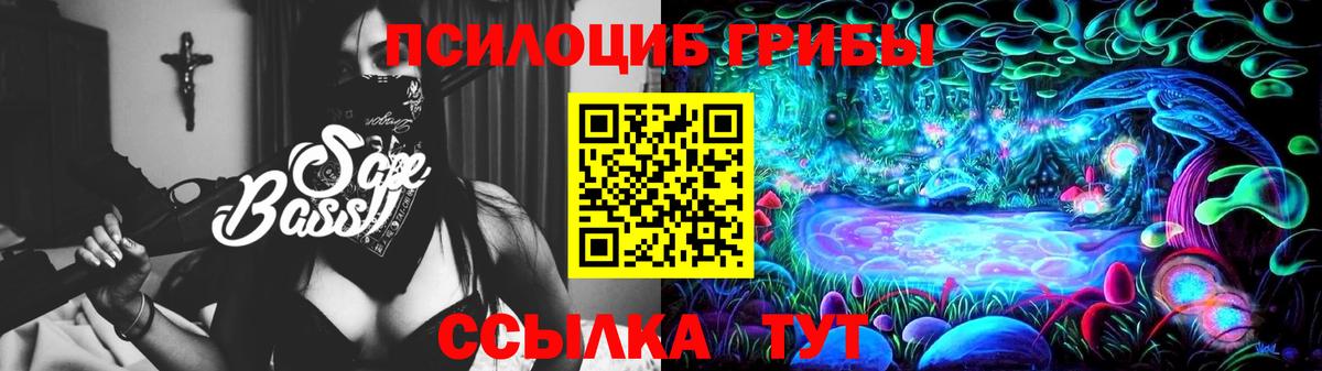 Псилоцибиновые грибы Psilocybine cubensis  Заринск 