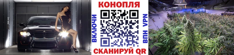 Конопля планчик  наркота  Заринск 